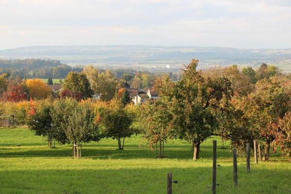Bauland mit traumhafter Aussicht auf die Hügellandschaft des Thurgaus 2