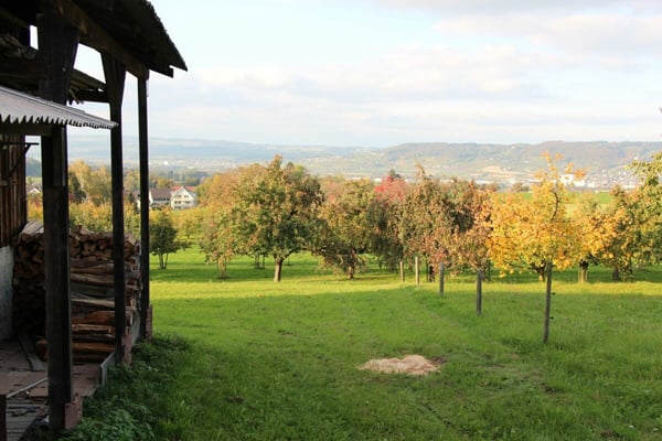 Bauland mit traumhafter Aussicht auf die Hügellandschaft des Thurgaus 5