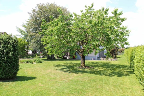 8.5 Zimmer Einfamilienhaus mit grosszügigem Umschwung in Mattwil 6