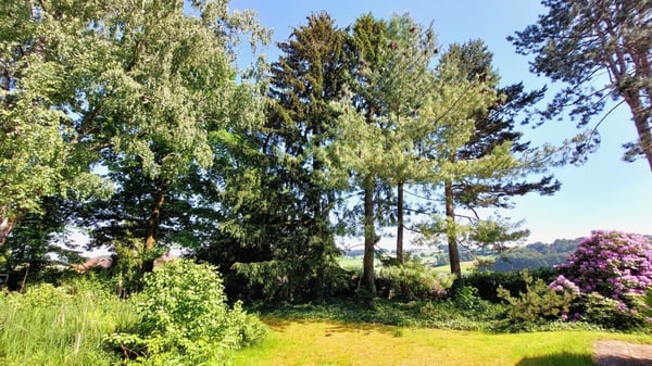 Landhaus mit grossem Garten und Baulandreserve 4