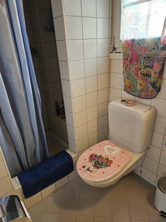 Charmante 1.5-Zimmer-Wohnung in ruhiger Lage in Teufen 7