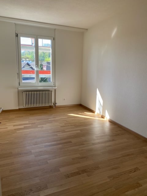 Renovierte 4 1/2-Zimmerwohnungen an ruhiger Lage zu vermieten! 6