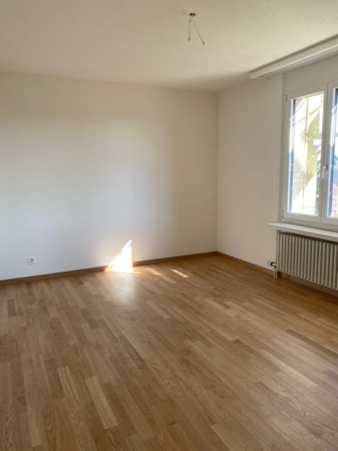 Renovierte 4 1/2-Zimmerwohnungen an ruhiger Lage zu vermieten! 5