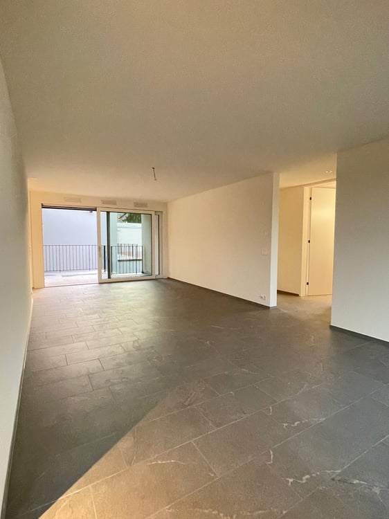 Grosse, hochwertige 4.5-Zimmerwohnung im Neubau 3