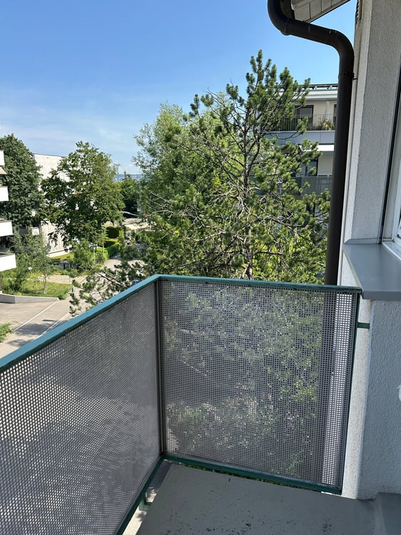 Schöne 4.5-Zimmerwohnung an ruhiger aber doch zentraler Lage! 9