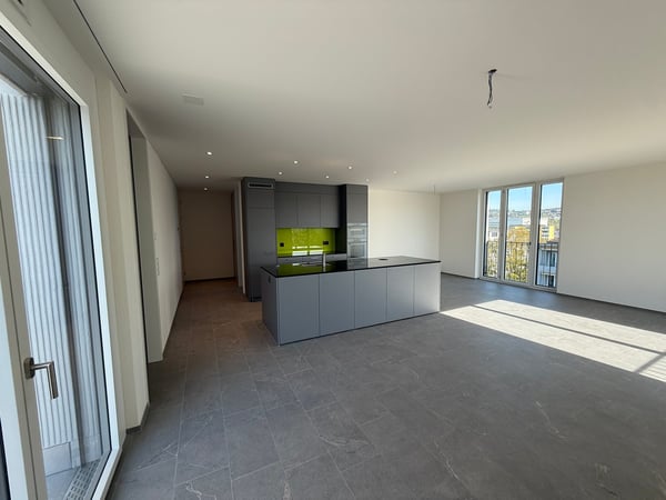 Grosse, einmalige 1.5-Zimmer-Attika Wohnung im Neubau für Terrassenliebhaber 2