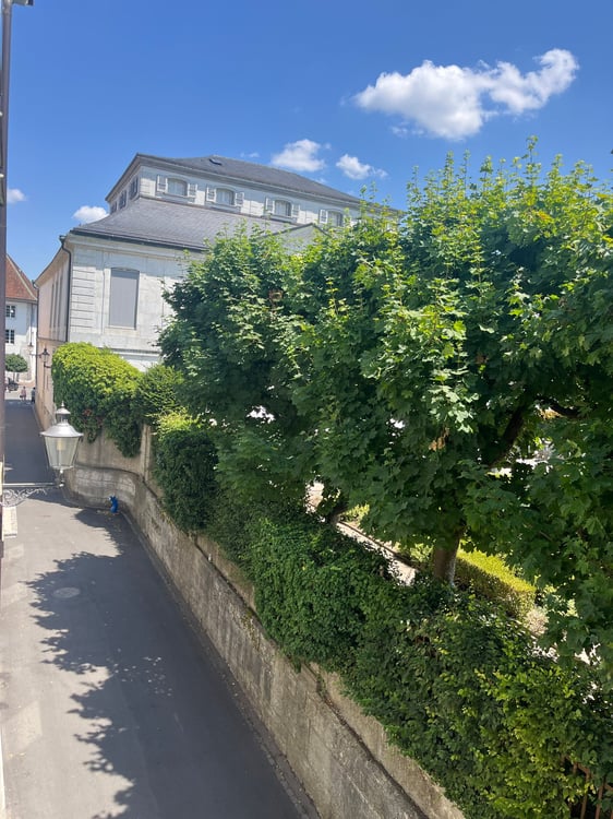 Altstadt Solothurn - grosszügiges Studio 8