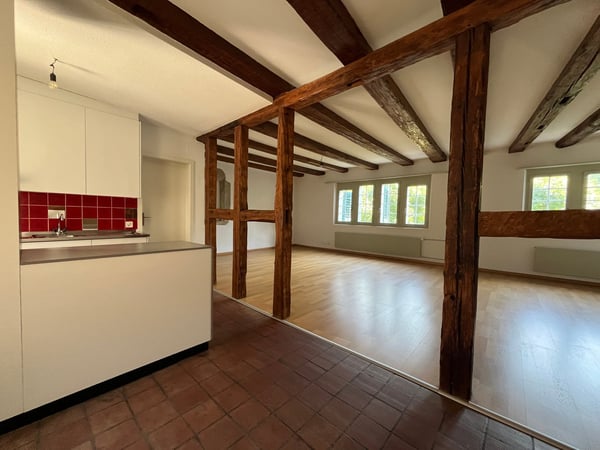 Altstadt Solothurn - grosszügiges Studio 3