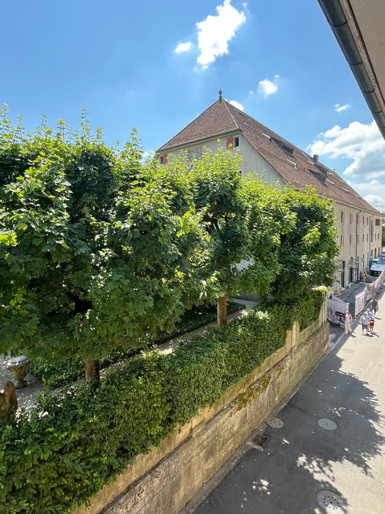 Altstadt Solothurn - grosszügiges Studio 9
