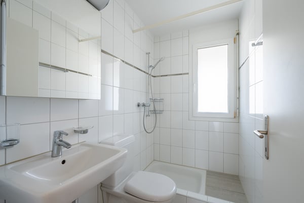 Schöne 4.5 Zimmerwohnung in Zofingen zu vermieten! 10