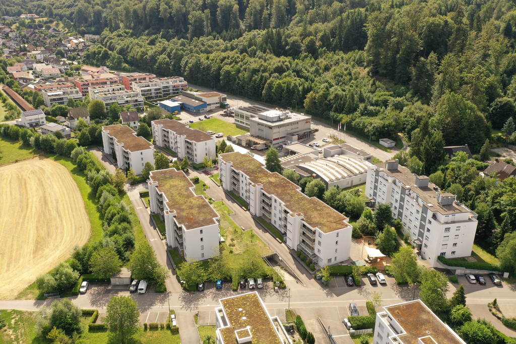 Bild Familienfreundliche Wohnung im Grünen