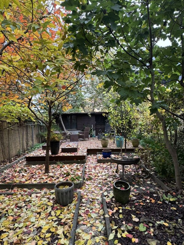 Maison de ville rénovée de 6 pièces avec jardin agréable