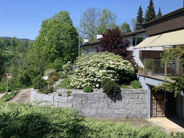 5.5-Zimmer-Doppeleinfamilienhaus mit Umschwung 8