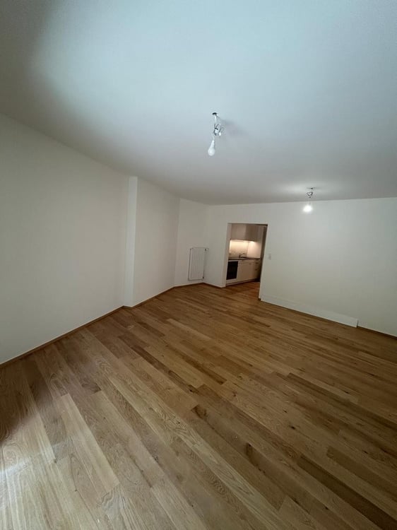 Frisch sanierte Single-Wohnung mit Sitzplatz zu vermieten 2