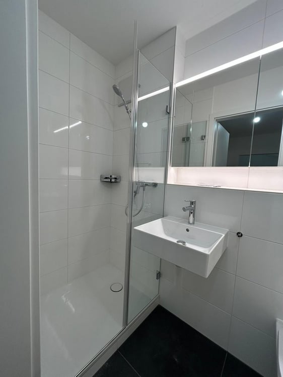 Frisch sanierte Single-Wohnung mit Sitzplatz zu vermieten 4