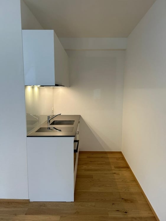 Frisch sanierte Single-Wohnung zu vermieten 3