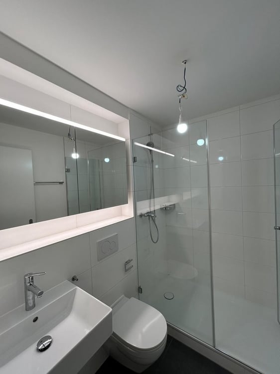 Frisch sanierte Single-Wohnung zu vermieten 4