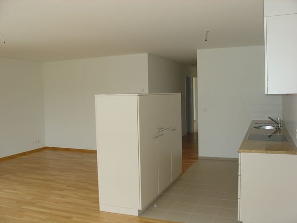 Grosse 1.5-Zimmerwohnung im Römergarten in Kaiseraugst 2