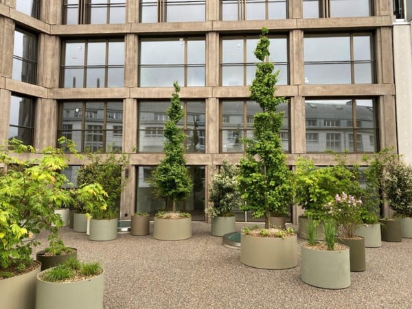 Moderne 2.5-Zimmer-Wohnung an bester Lage 5