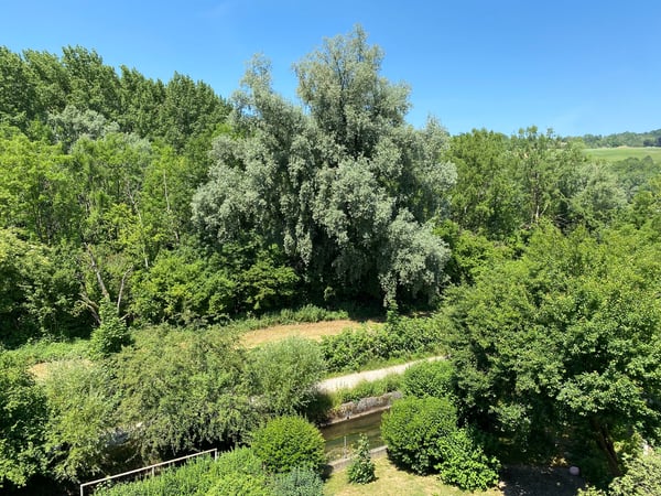 Helle 1.5-Zimmerwohnung mit Ausblick ins Grüne 11