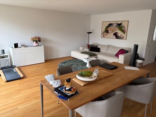 Lichtdurchflutete 2.5-Zimmerwohnung im Neubau 4