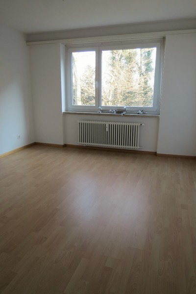 Grüne Oase im stadtnahen Bruderholz-Quartier 6