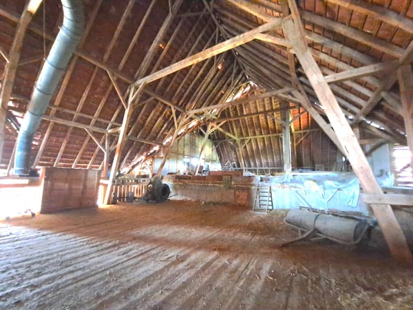 Geschichtsträchtiges Bauernhaus mit Ausbaupotenzial 5