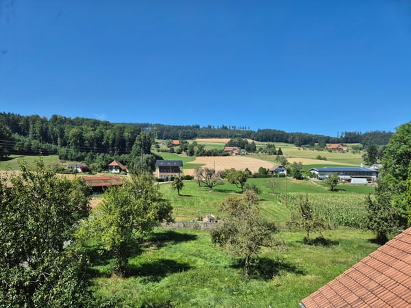 Geschichtsträchtiges Bauernhaus mit Ausbaupotenzial 12