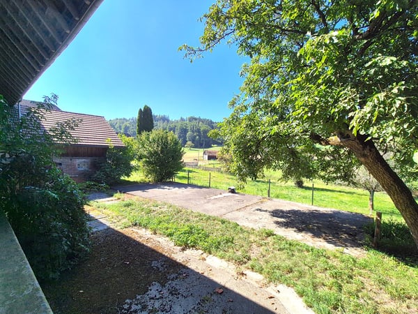 Geschichtsträchtiges Bauernhaus mit Ausbaupotenzial 11