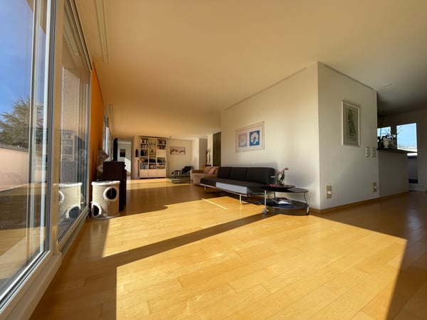 Moderne 1.5 Zimmer Attika-Stadtwohnung mit herrlicher Weitsicht 2