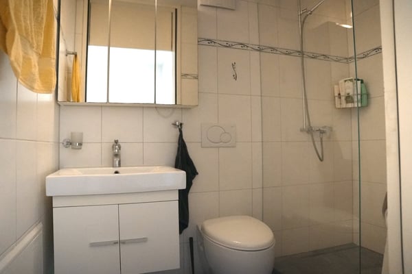 Moderne 1.5 Zimmer Attika-Stadtwohnung mit herrlicher Weitsicht 7