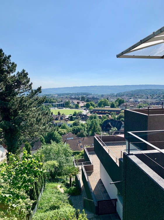 4.5 Zimmer Wohnung mit phantastischer Terrasse und Weitsicht 7