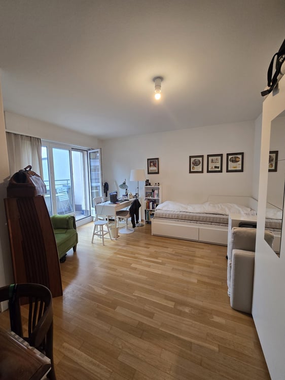 Schöne 2-Zimmer-Wohnung in Basel Nähe Schützenmattpark 1
