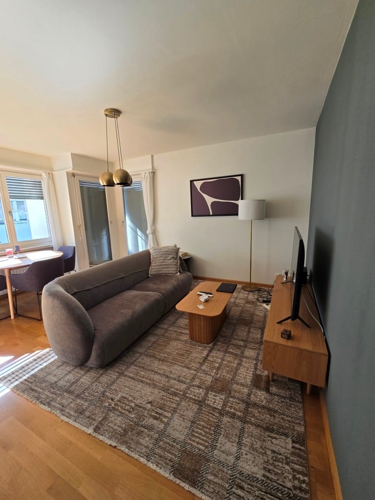 Living room with couch, coffee table, TV, floor lamp, rug, dining table, chairs, picture frame, windows with blinds