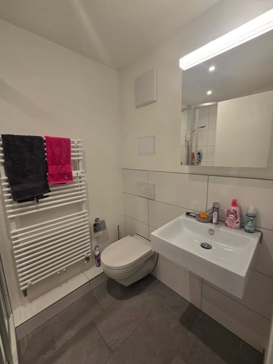 Gemütliches 1-Zimmer-Wohnung nähe Kronenplatz in Binningen 5