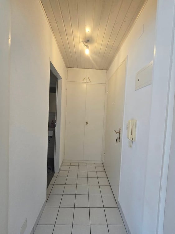Gemütliches 1-Zimmer-Wohnung nähe Kronenplatz in Binningen 3