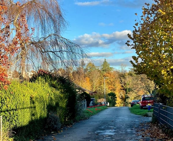 732m2 Baulandparzelle - ohne Architekturverpflichtung - an präferierter Lage 3