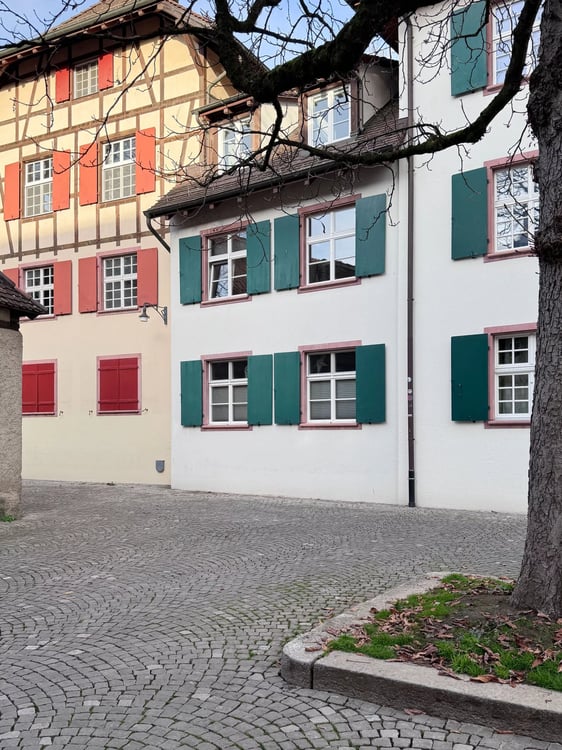 1 Zimmer-Wohnung in Rheinnähe 12