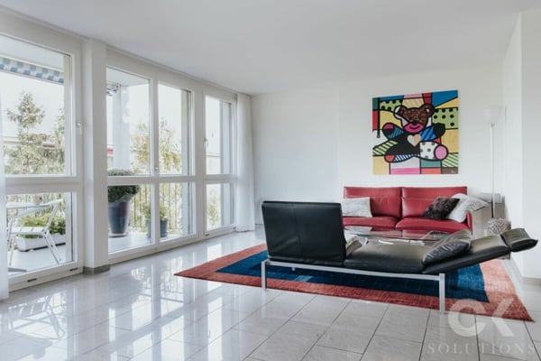 Exklusive 1.5-Zimmer-Attikawohnung über den Dächern Basels 5