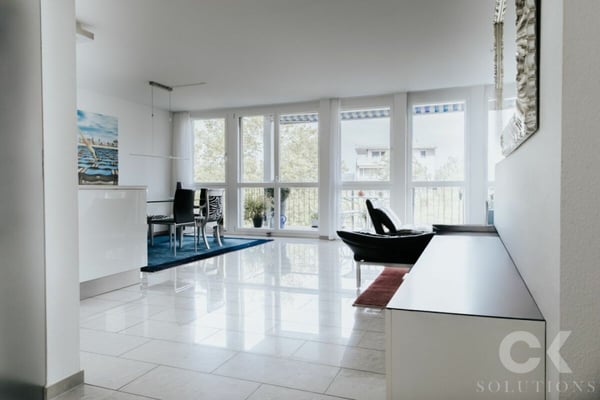 Exklusive 1.5-Zimmer-Attikawohnung über den Dächern Basels 4