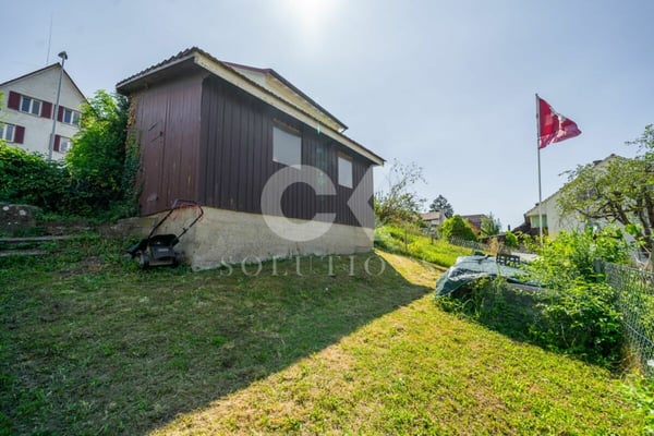 Wohnen, wo der Rhein zum Greifen nah ist - Ein kleines Zuhause mit grossem Charakter 4