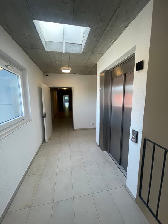 Helles Atelier / Verkaufsfläche zu vermieten in Bannwil 6