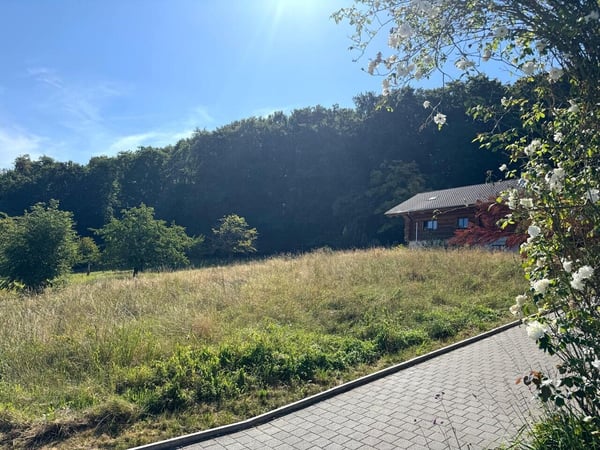 Neubauprojekt: Ihr neues Zuhause in idyllischer Lage 1