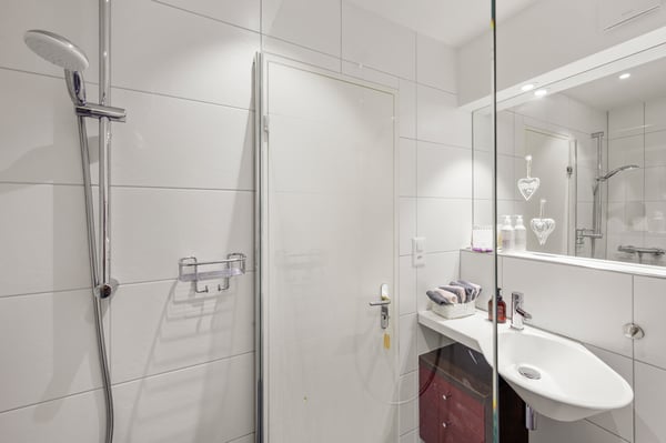 Attikawohnung mit Panorama, Dachterrassen und separater Einliegerwohnu 11