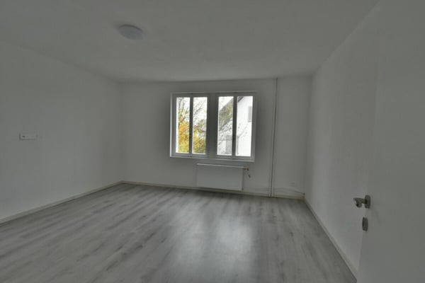 Attraktives Mehrfamilienhaus im steuergünstigen Bettlach - Top-Lage im Dorfzentrum! 8