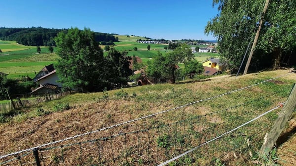 Bauland mit wunderschöner Weitsicht 3