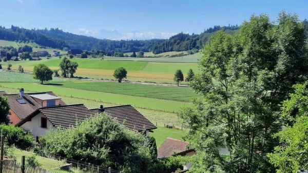 Vorschaubild der Immobilie