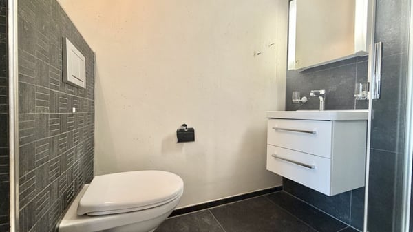 Tolle 3.5 Zi. Maisonette Wohnung mit Alpensicht 12