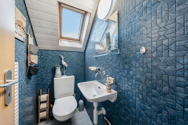 Belle maison avec appartement indépendant et terrain de 4'500 m2 12
