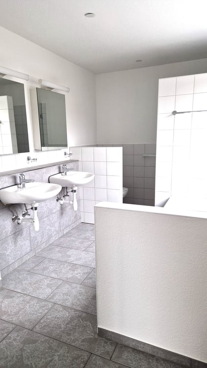 Grosszügige 1-Zimmer-Attikawohnung mit Cheminée und grosser Terrasse 7